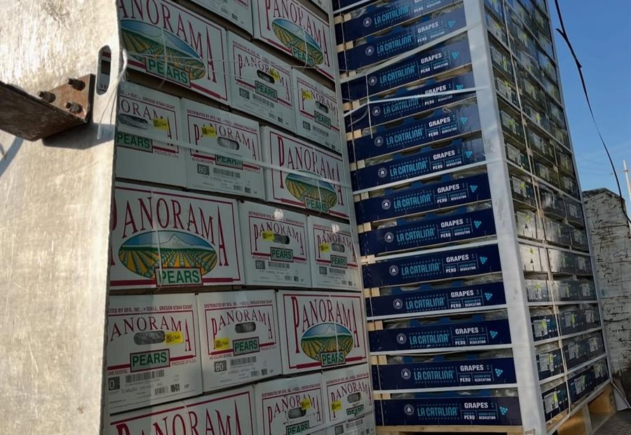 Tarimas de pera y uva de importación