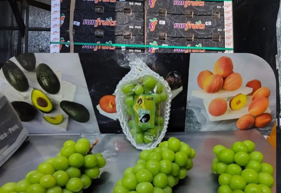 Uva verde de importación en selección