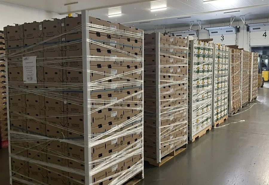 Bodega fría con tarimas listas para embarque