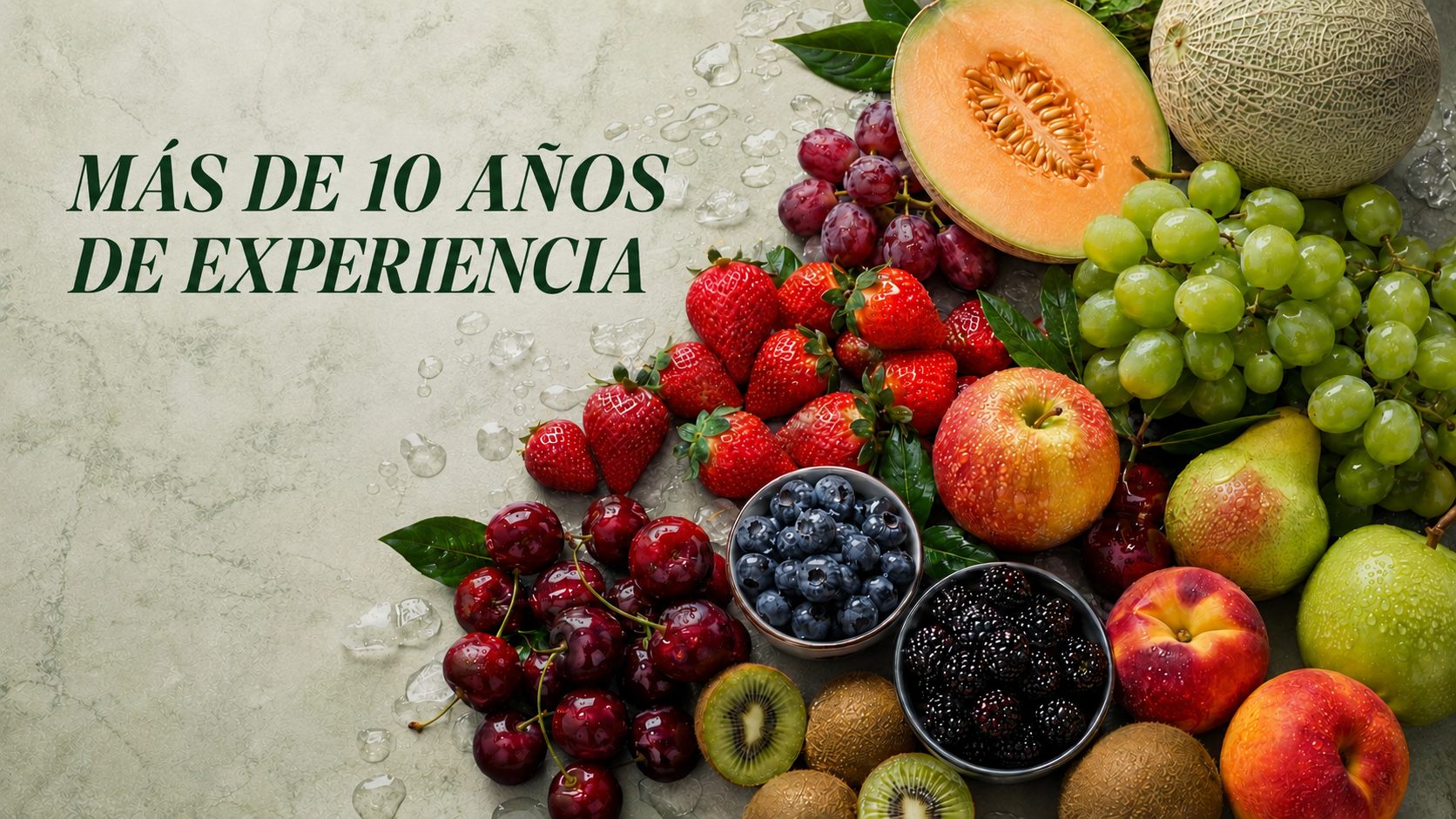 Selección de fruta fina de C&O Fruits — más de 10 años de experiencia